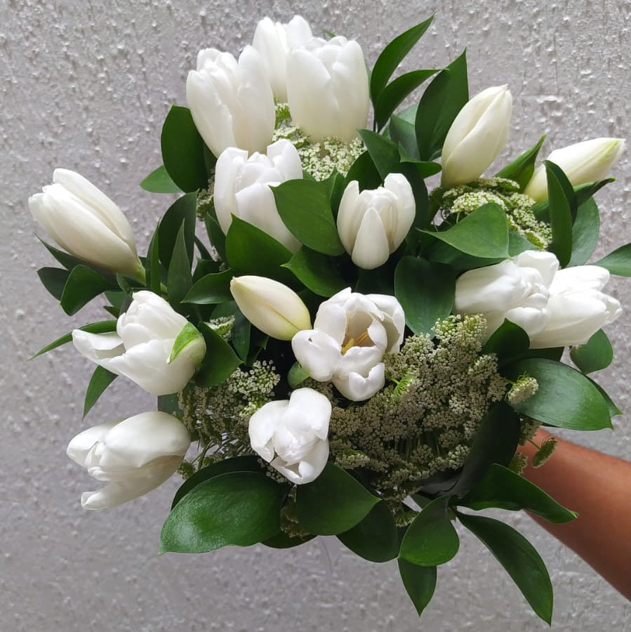 Tulipanes Blancos